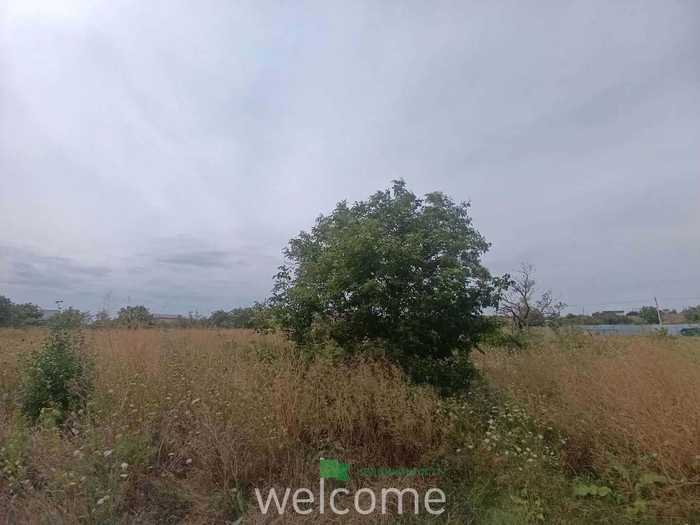 Превью