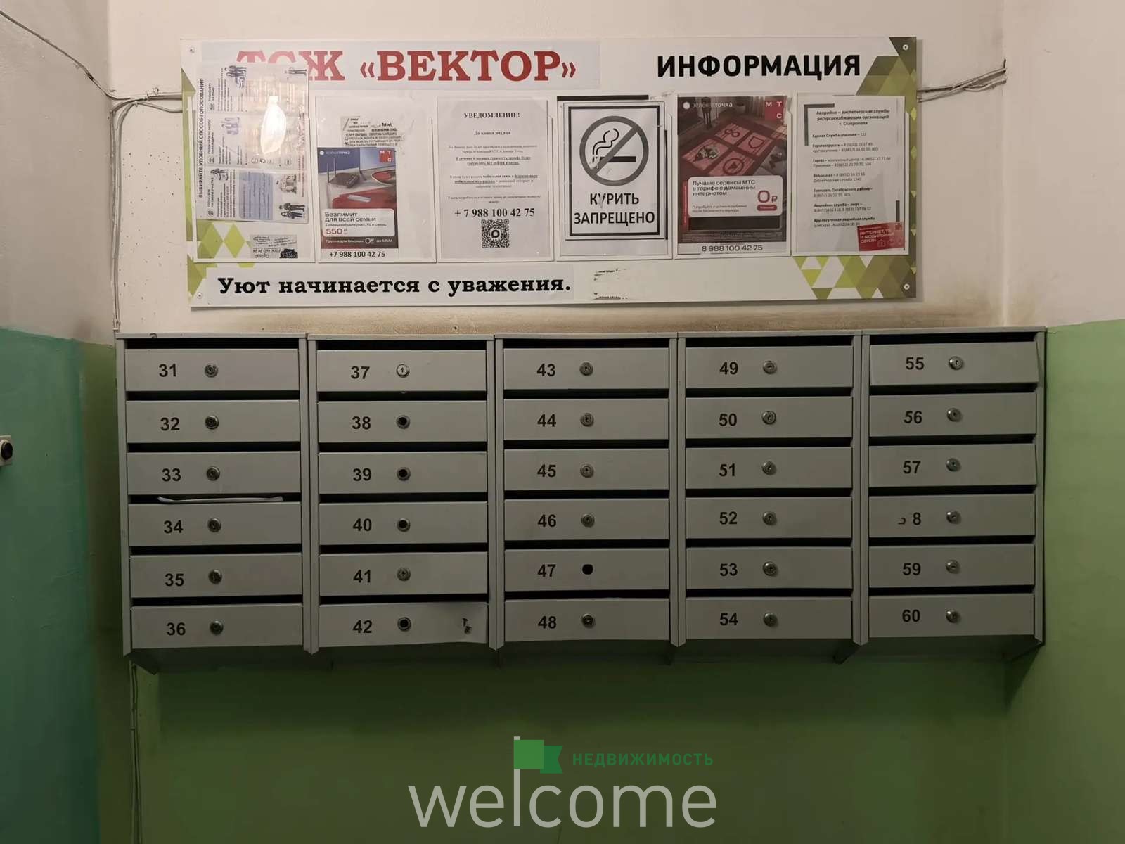Превью