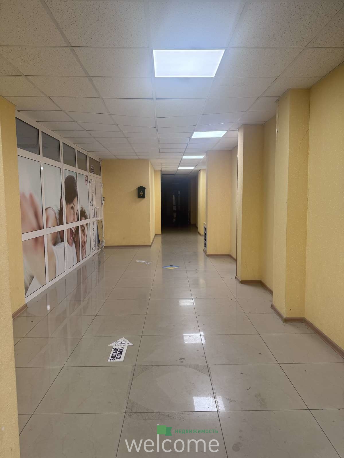 Превью