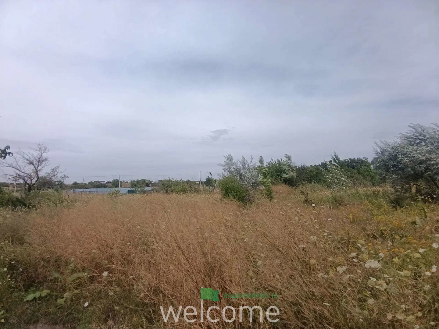 Превью