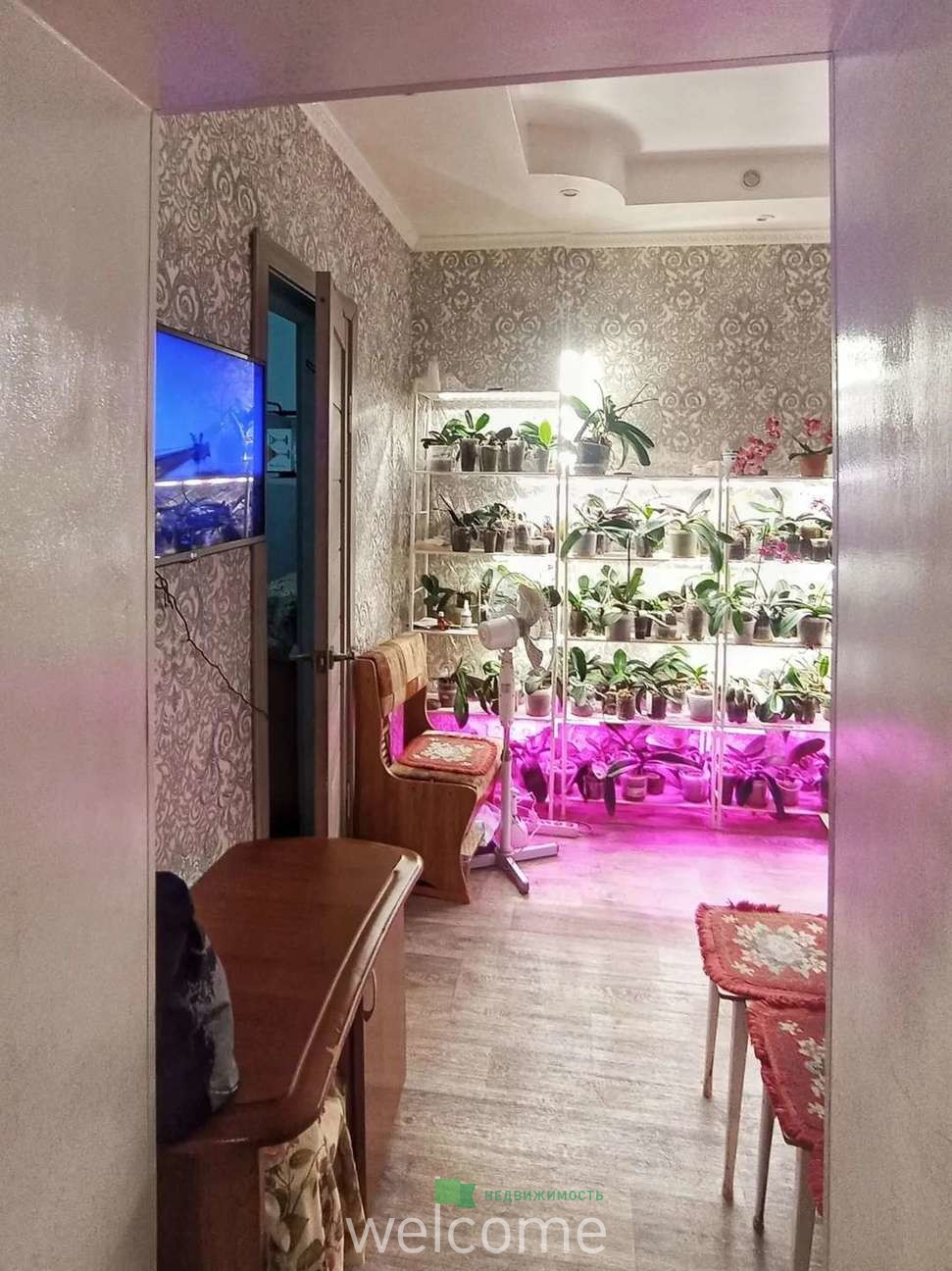 Превью