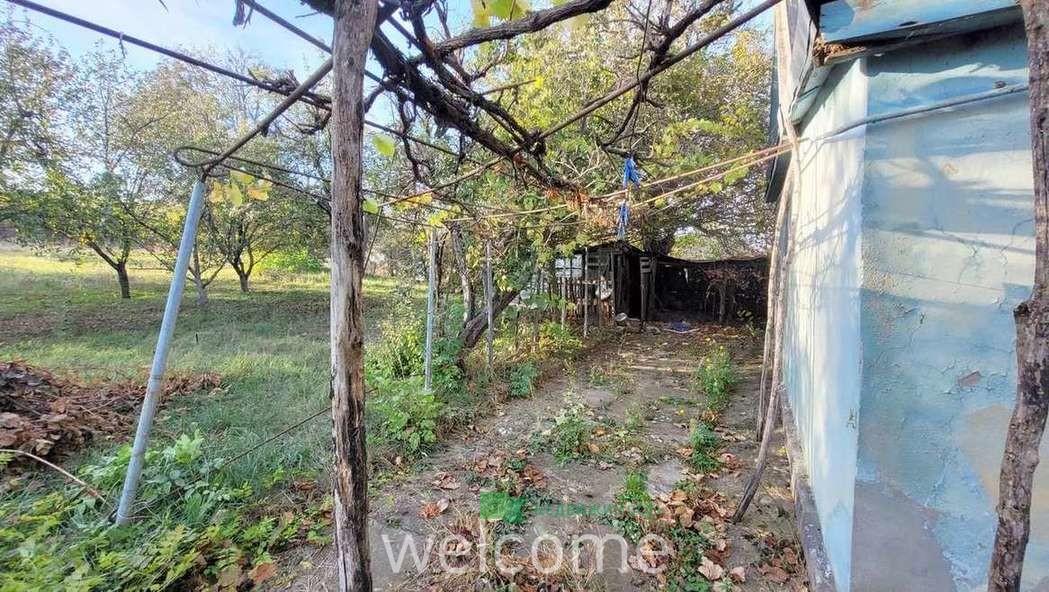 Превью