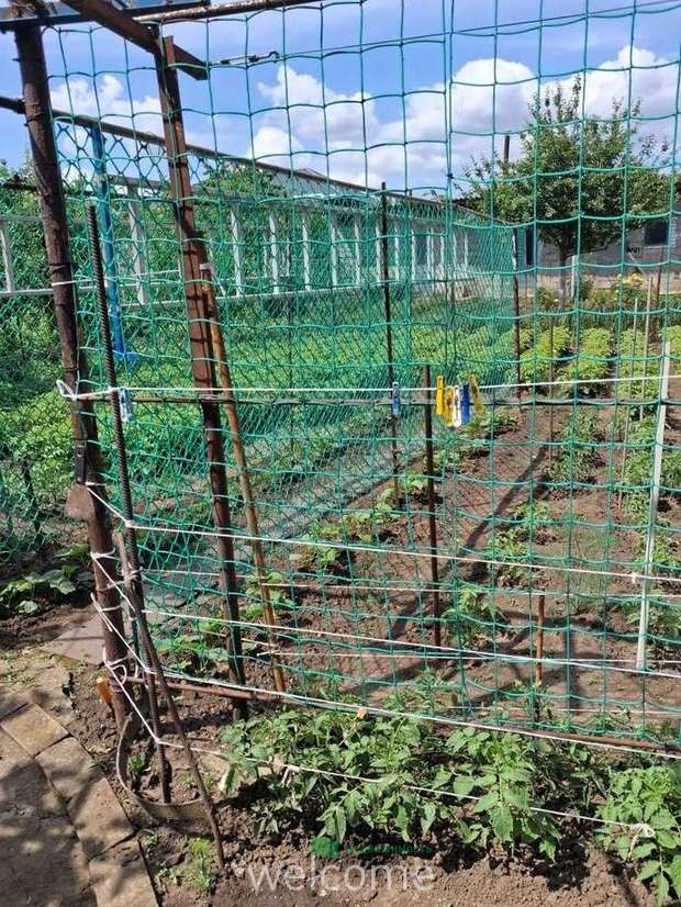 Превью