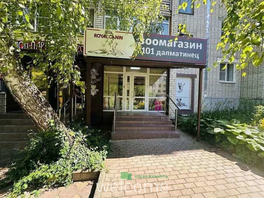 Превью