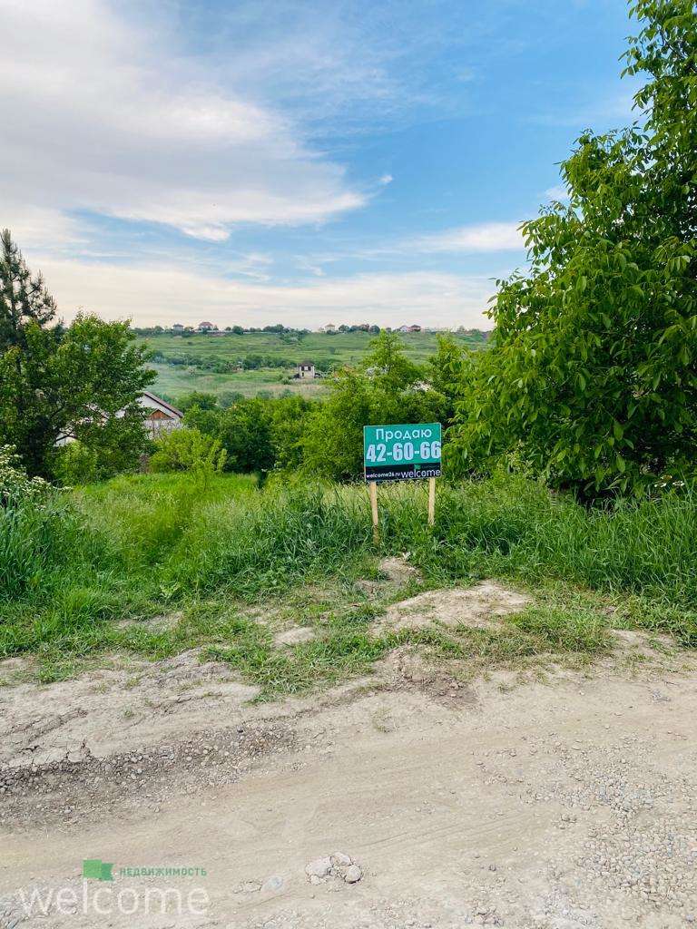 Превью